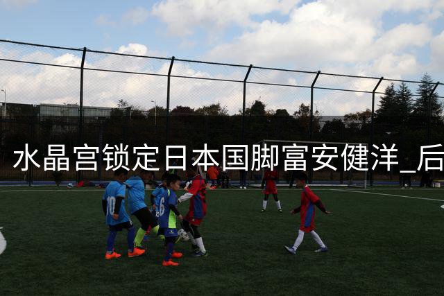 水晶宫锁定日本国脚富安健洋 后防补强计划曝光